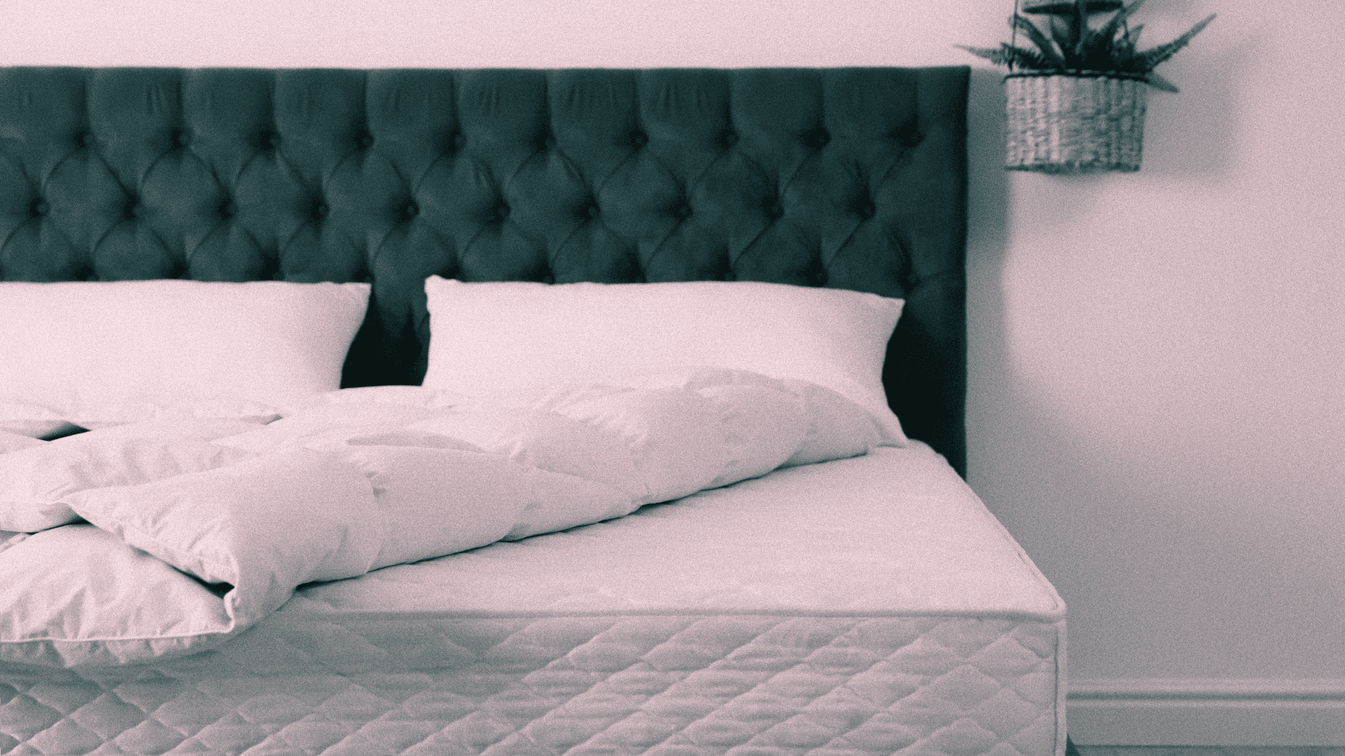 Resident Home Mattress Pricing Settlement Header Image