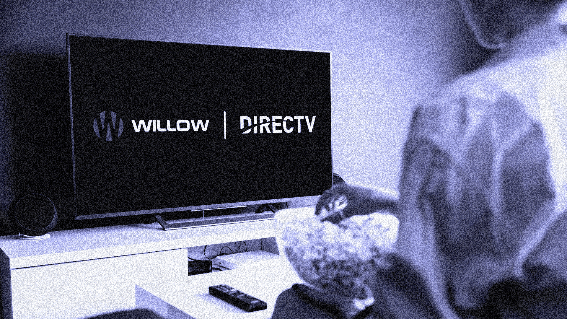 Willow TV VPPA Settlement Header Image
